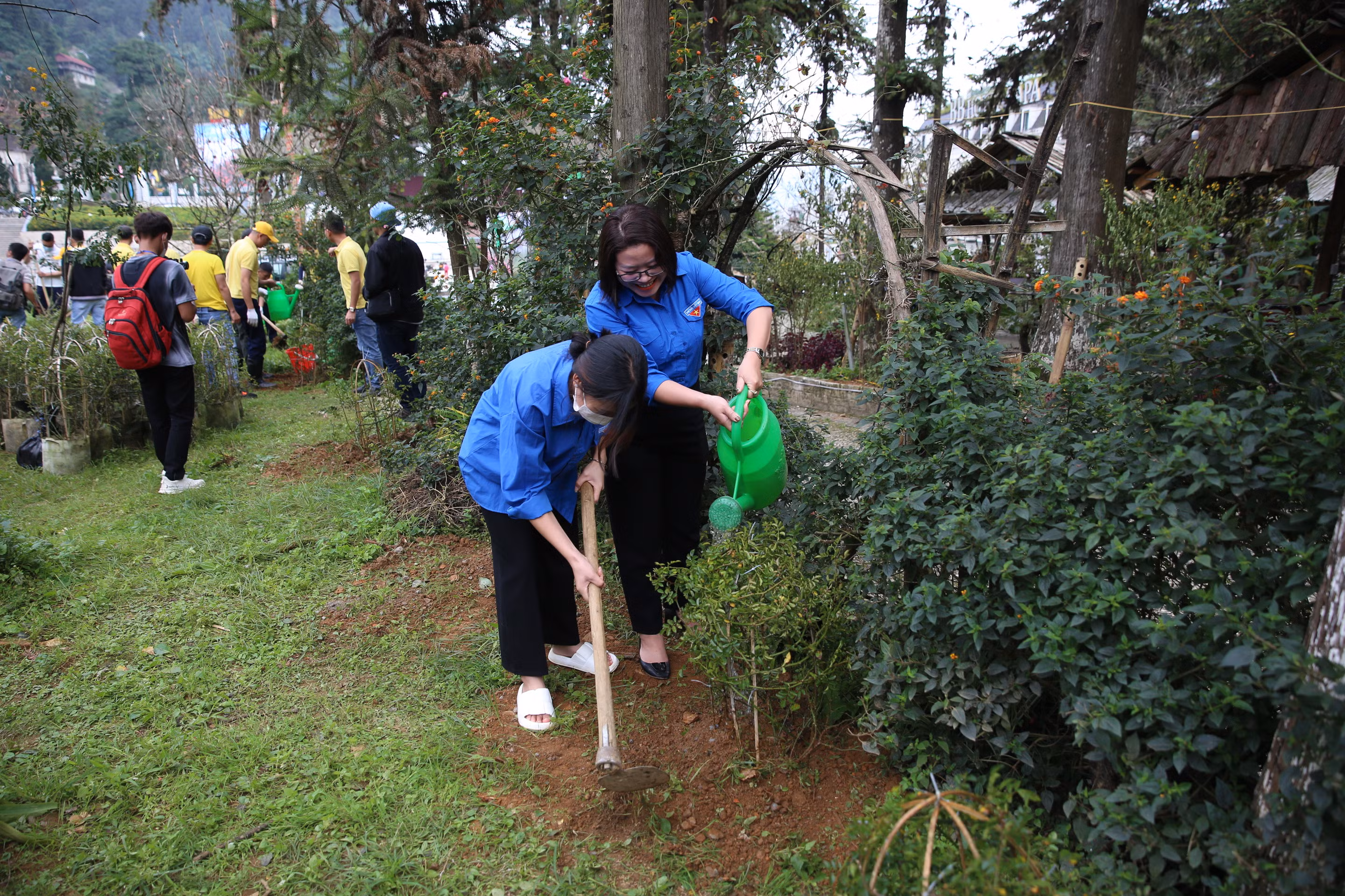 Sa Pa - thành phố trong mây, chỉ trồng cây, không xả rác ảnh 5 Sa Pa - thành phố trong mây, chỉ trồng cây, không xả rác ảnh 5