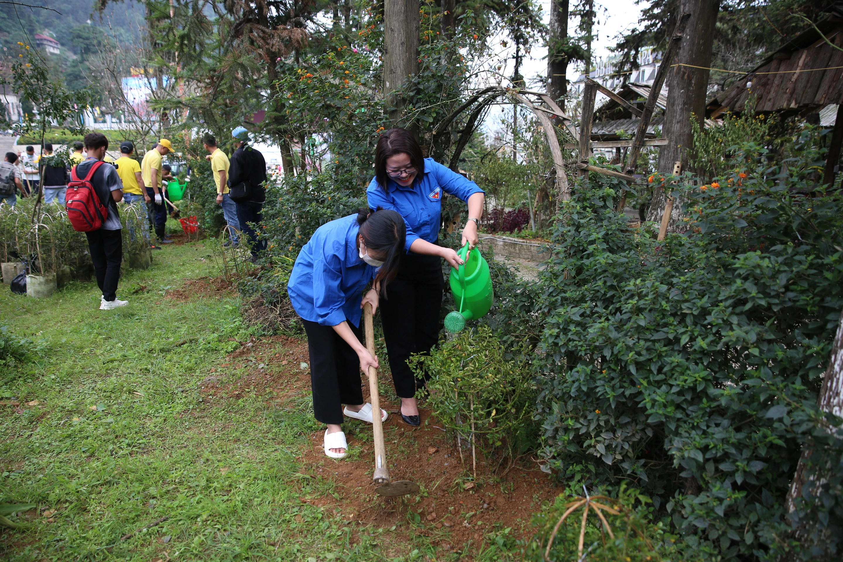 Sa Pa - thành phố trong mây, chỉ trồng cây, không xả rác ảnh 5