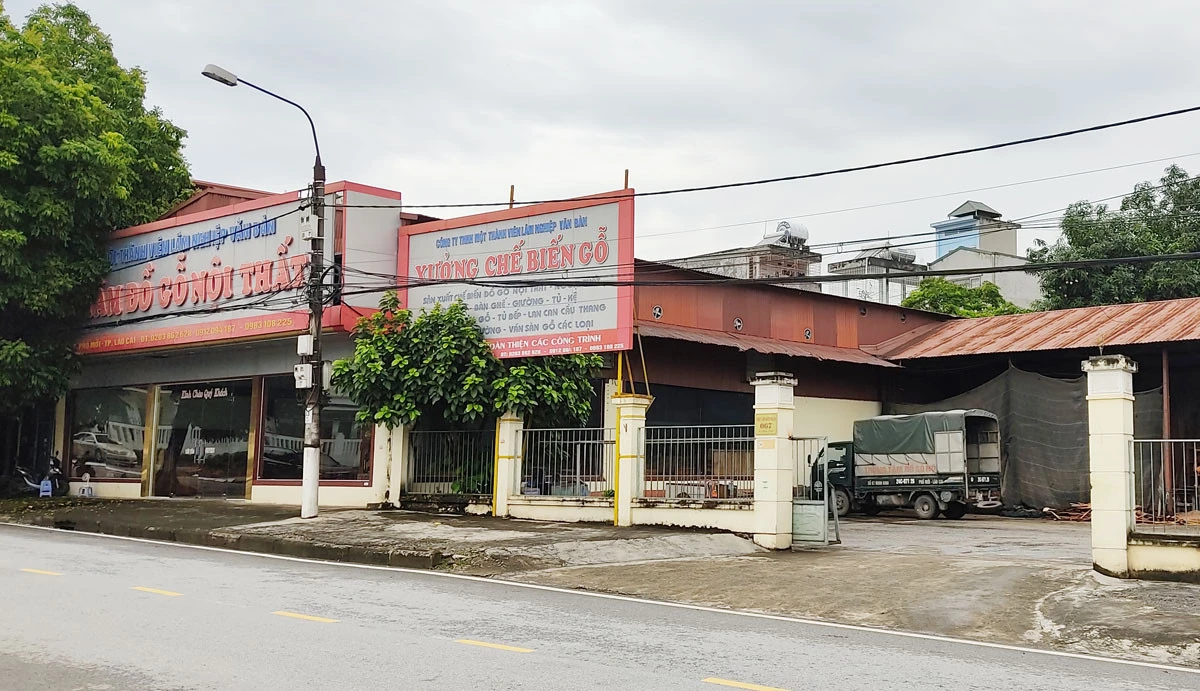 Công ty TNHH Một thành viên lâm nghiệp Văn Bàn đầu tư xây dựng Trung tâm đồ gỗ nội thất tại phường Lào Cai (thành phố Lào Cai).