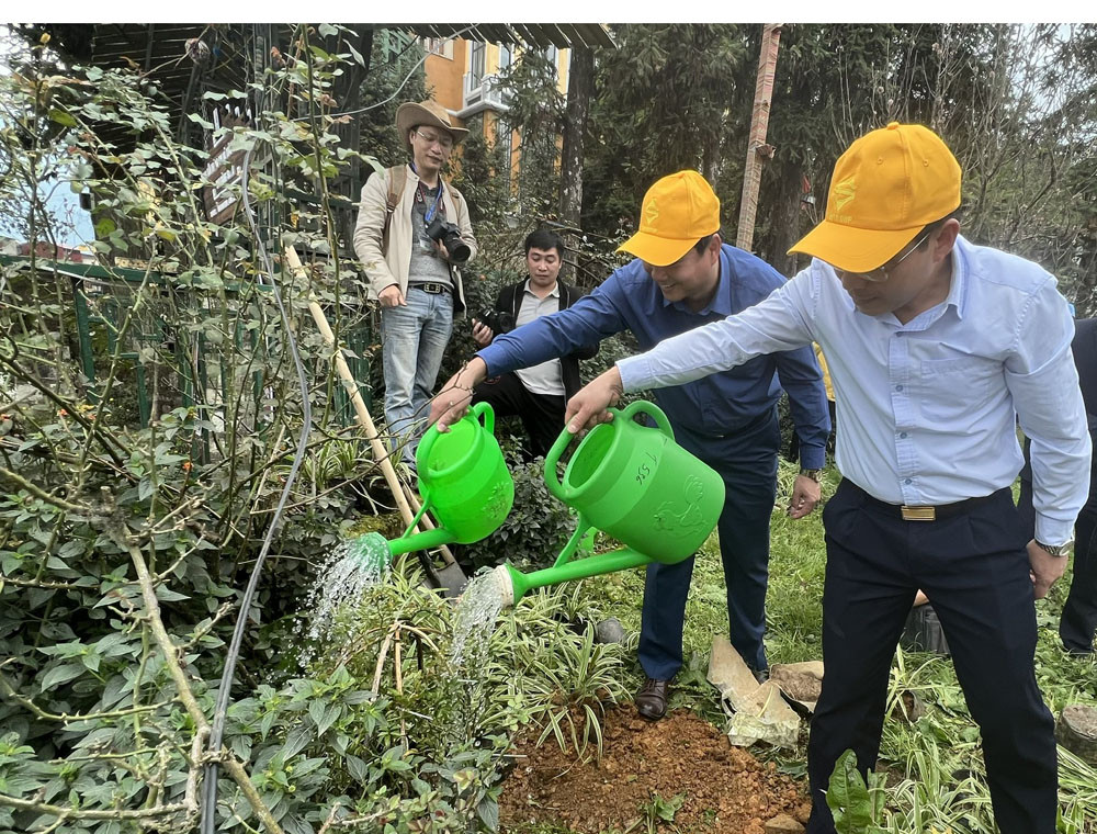 Sa Pa - thành phố trong mây, chỉ trồng cây, không xả rác ảnh 4 Sa Pa - thành phố trong mây, chỉ trồng cây, không xả rác ảnh 4