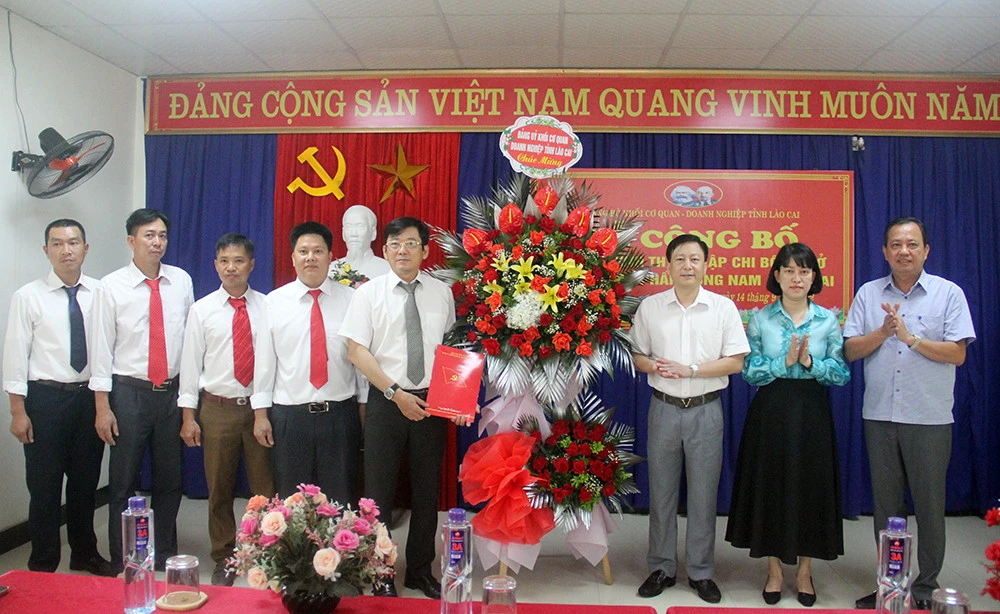 Thành lập Chi bộ Công ty Cổ phần Đông Nam Á Lào Cai ảnh 3