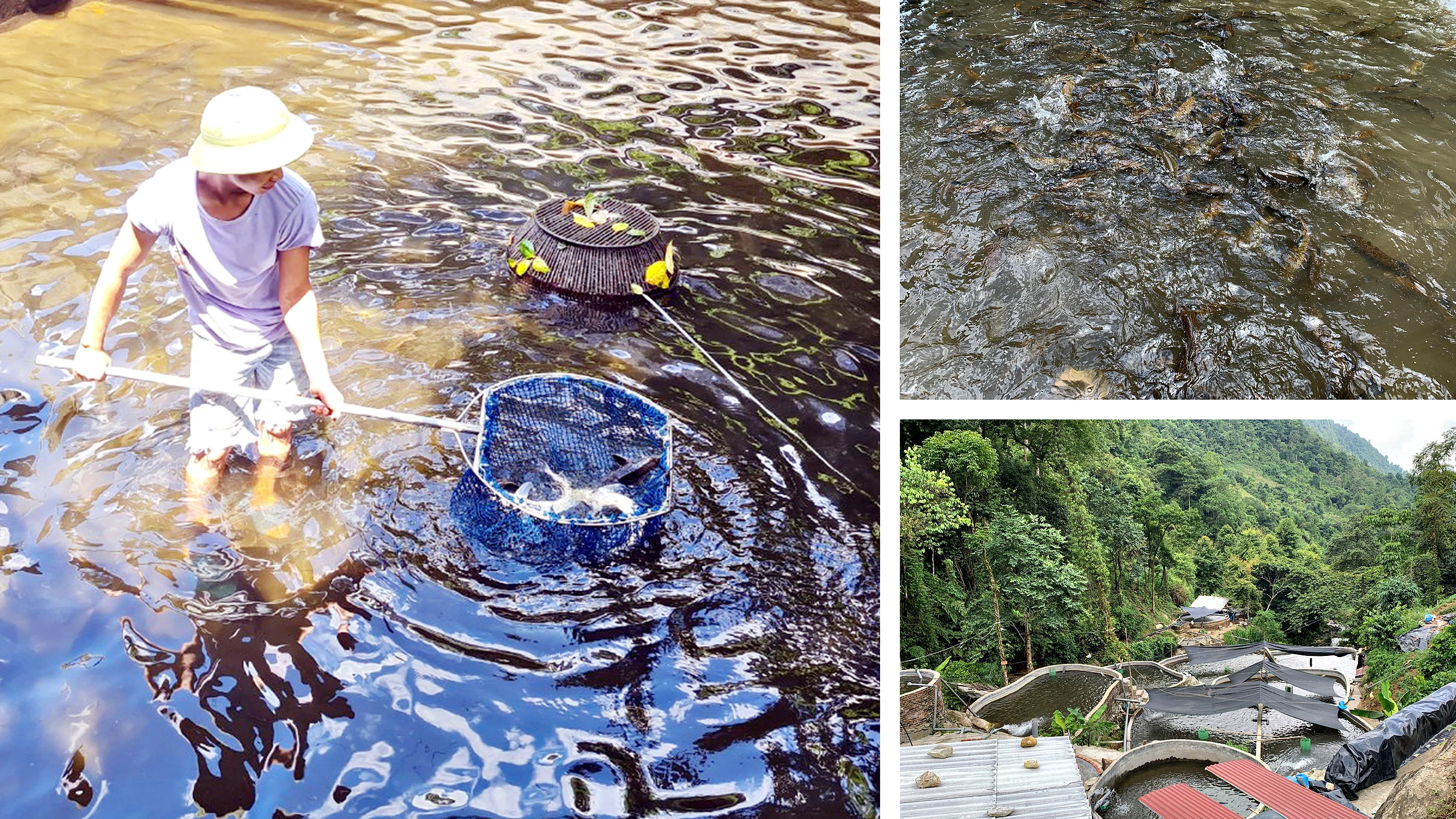 Trở lại Nậm Cang ảnh 2