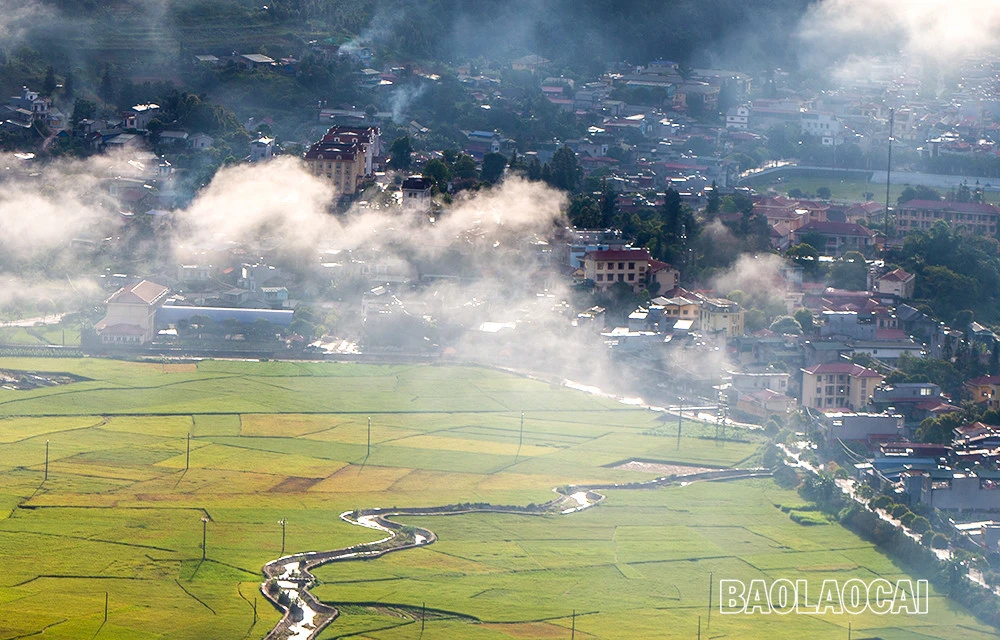 Mùa lúa chín&nbsp;Mường Khương -&nbsp;dải lụa vàng giữa đại ngàn biên ải ảnh 8