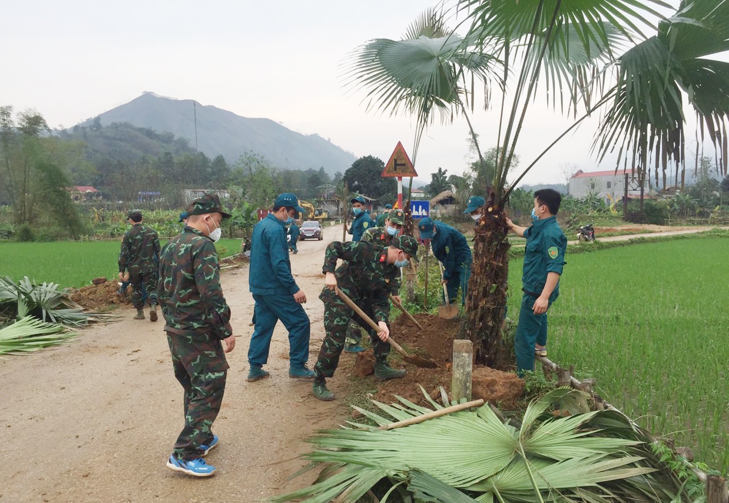 Xã Nghĩa đô huy động các lực lượng và nhân dân tham gia trồng cây cọ.