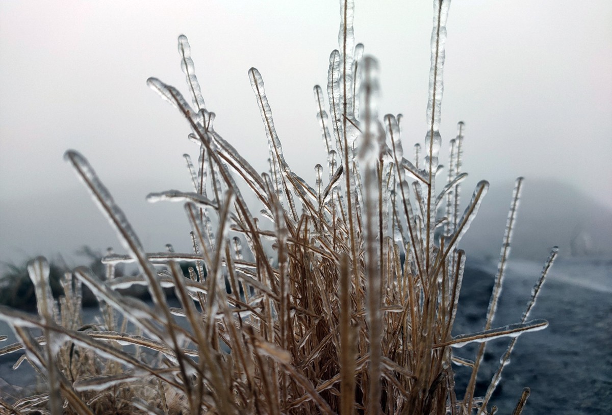 Từ sáng sớm 20/2, băng giá đã phủ kín đỉnh Lảo Thẩn.