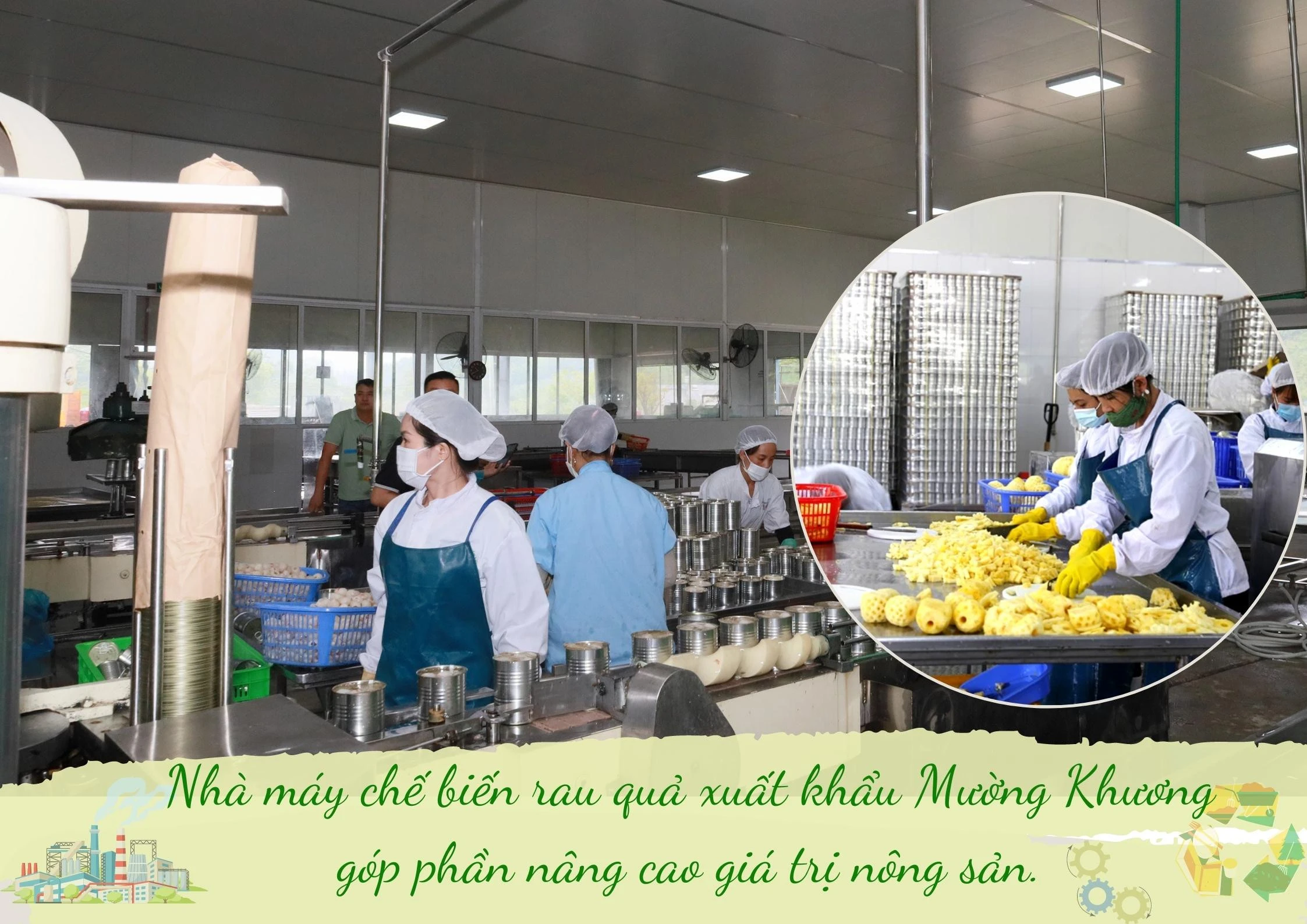 Thu hút đầu tư chế biến nông sản ảnh 4