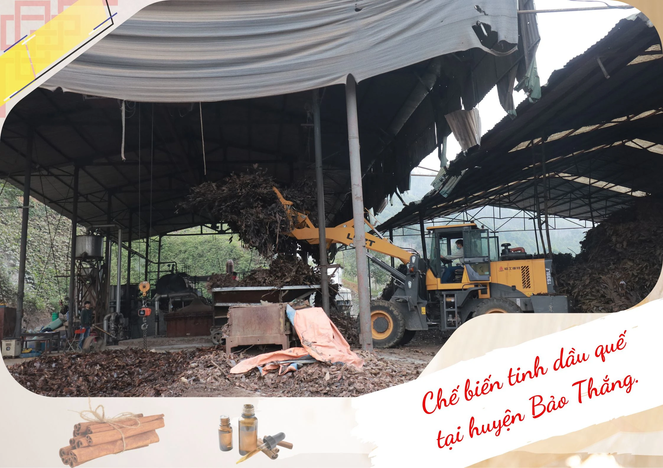 Thu hút đầu tư chế biến nông sản ảnh 2