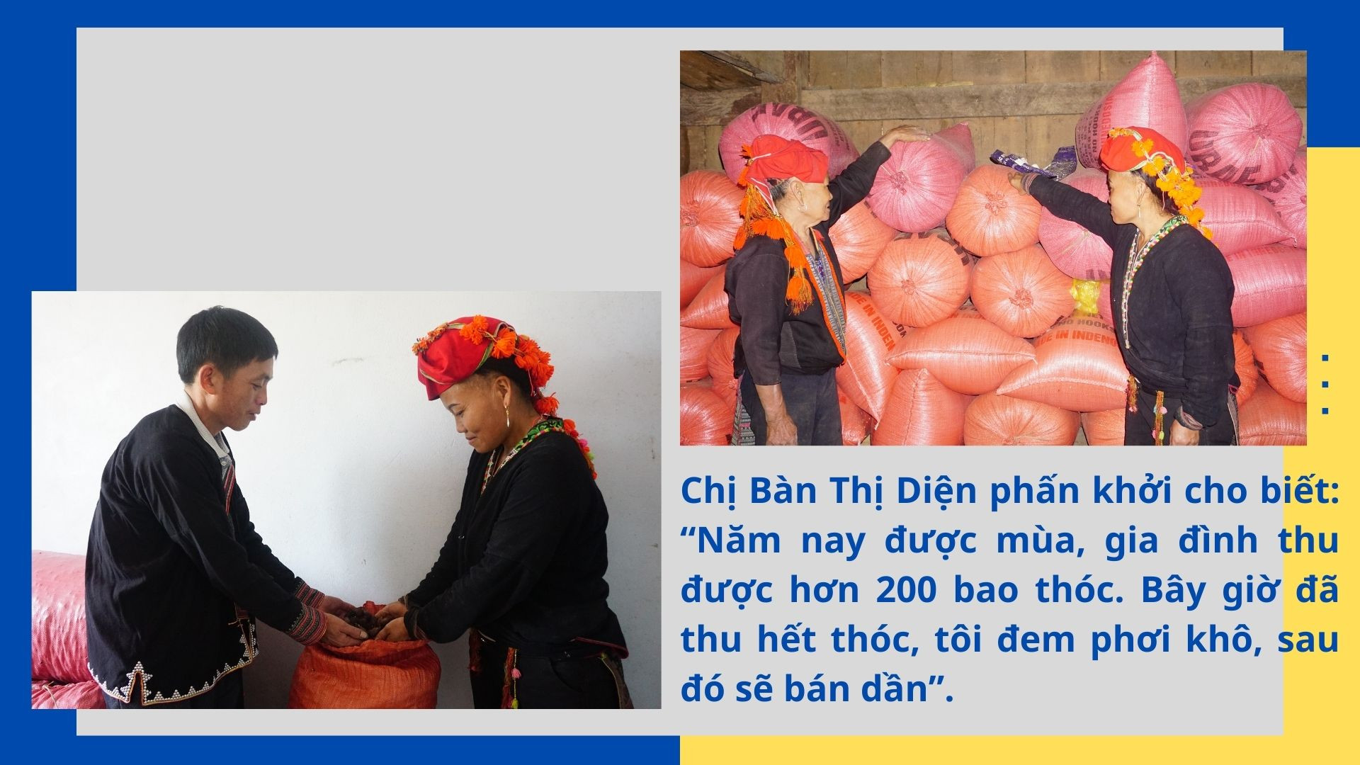 Mùa no ấm trên núi cao ảnh 7