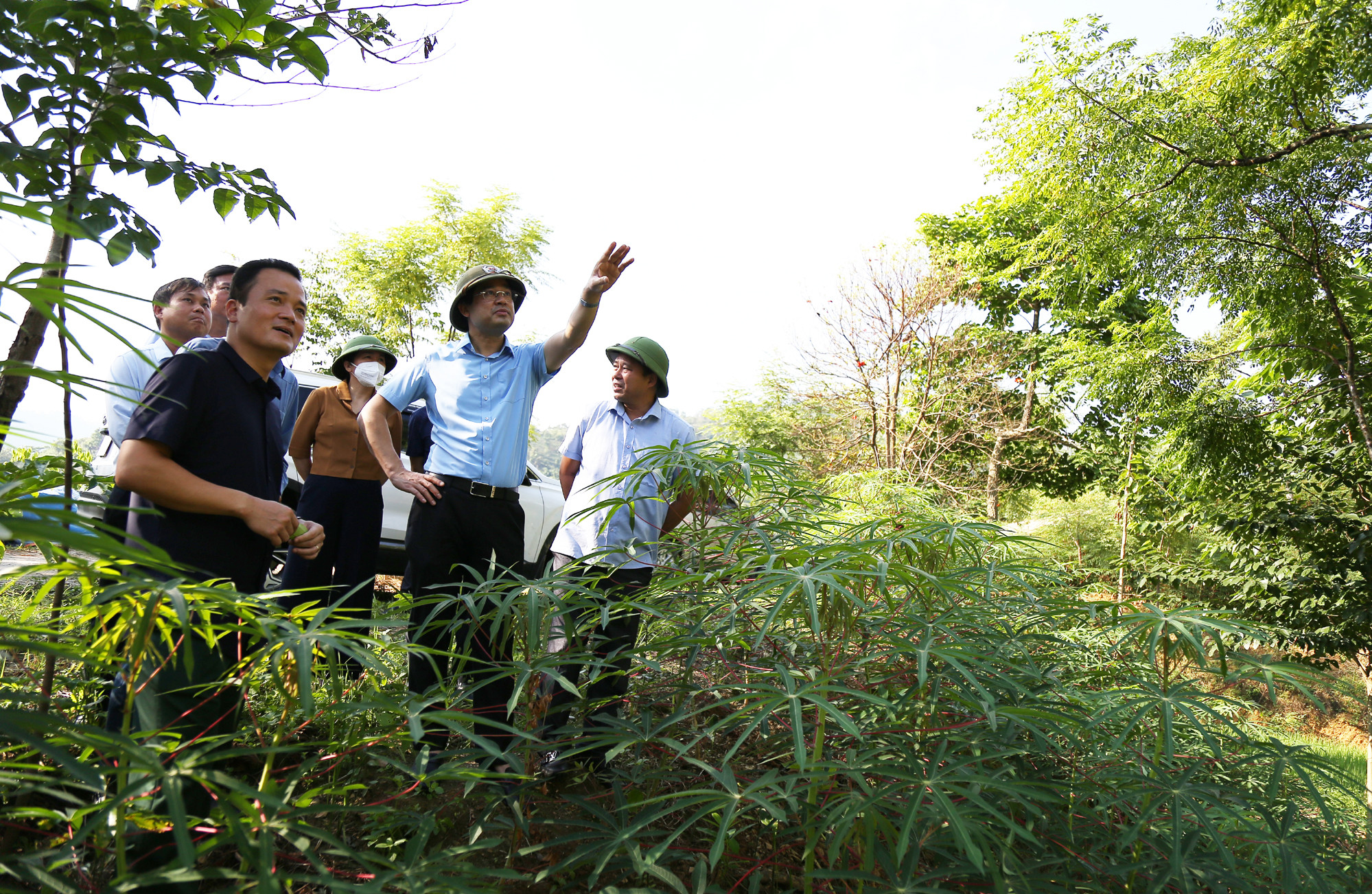 Chủ tịch UBND tỉnh Trịnh Xuân Trường: Cần có các giải pháp, kế hoạch khai thác tốt tiềm năng, lợi thế của từng địa phương ảnh 5