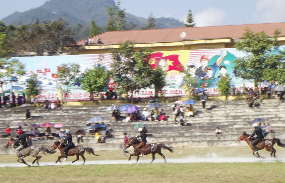 Tưng bừng vó ngựa cao nguyên trắng Bắc Hà. Tưng bừng vó ngựa cao nguyên trắng Bắc Hà.