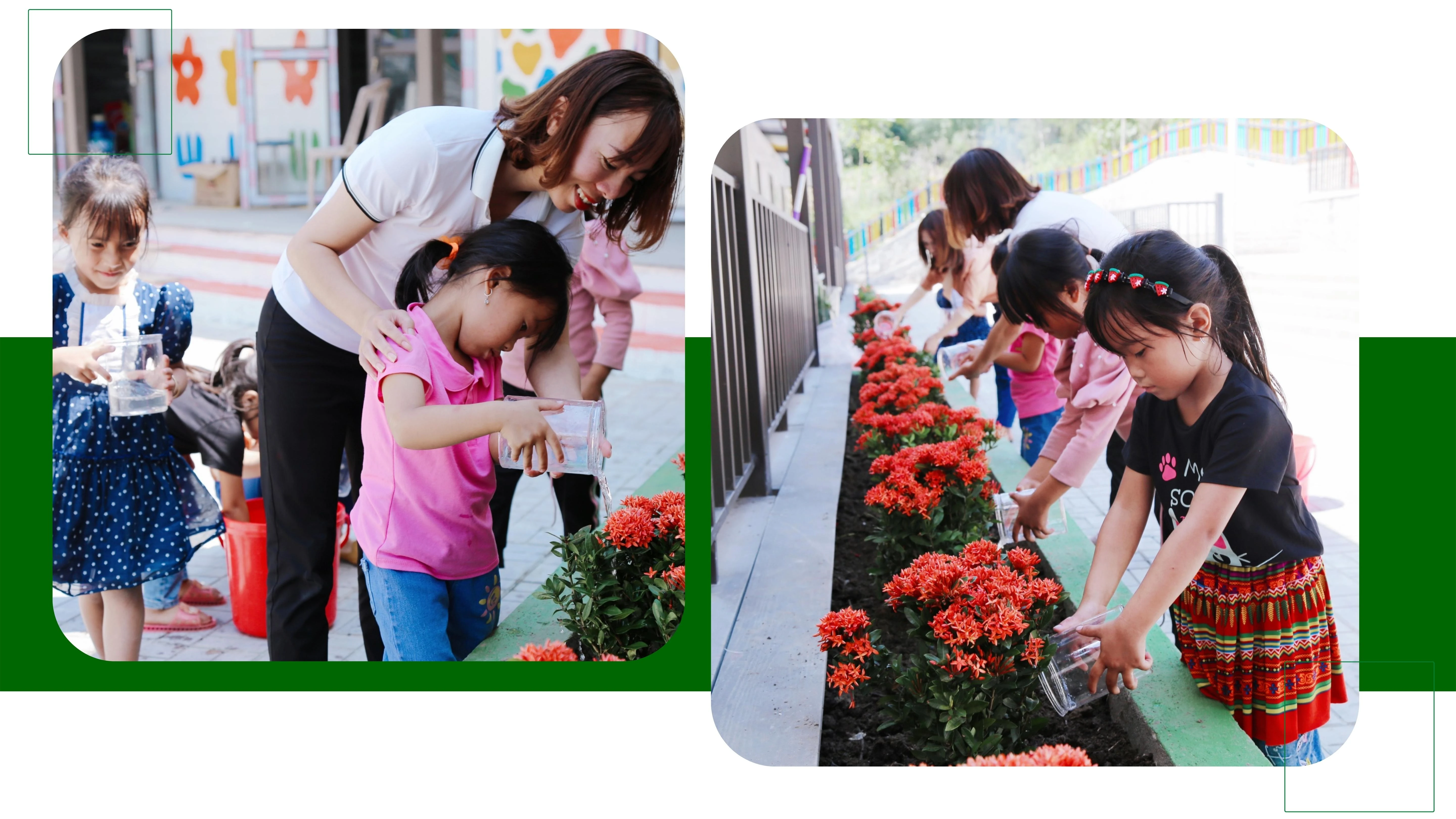 "Tương lai xanh" ở Cao Sơn ảnh 6 "Tương lai xanh" ở Cao Sơn ảnh 6