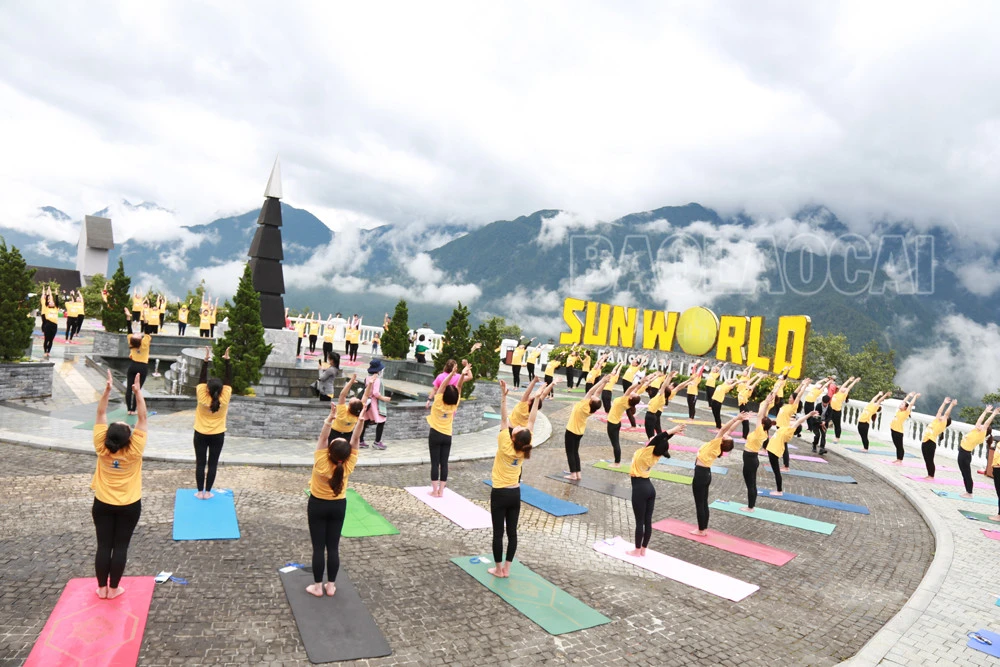 Đồng diễn Yoga "Chào mặt trời - Chào đỉnh Fansipan” ảnh 5