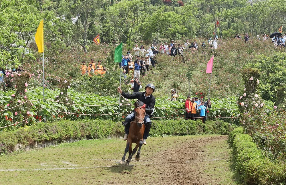 Nài ngựa Vàng Văn Cương giành giải Nhất.