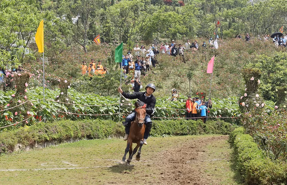 Nài ngựa Vàng Văn Cương giành giải Nhất.