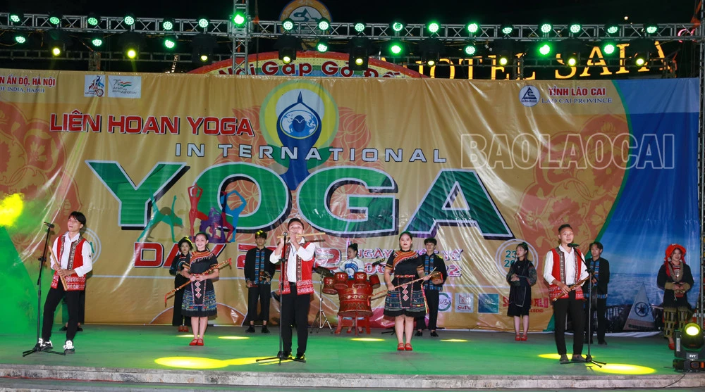 Giao lưu văn hóa Việt Nam - Ấn Độ tại Liên hoan Yoga năm 2022 ảnh 6