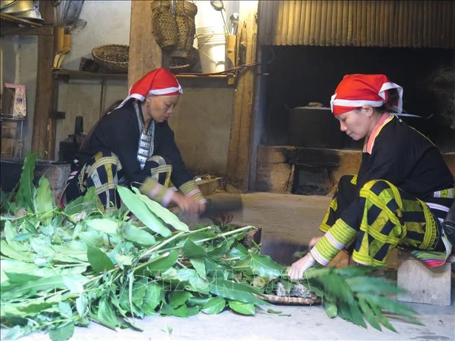 Sơ chế thuốc tắm.