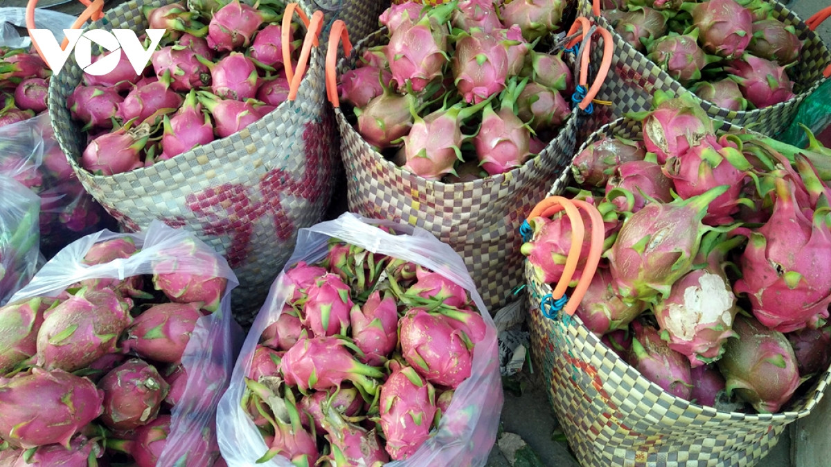 Chậm thay đổi tư duy, nông sản sẽ khó kiếm thị trường xuất khẩu ảnh 1