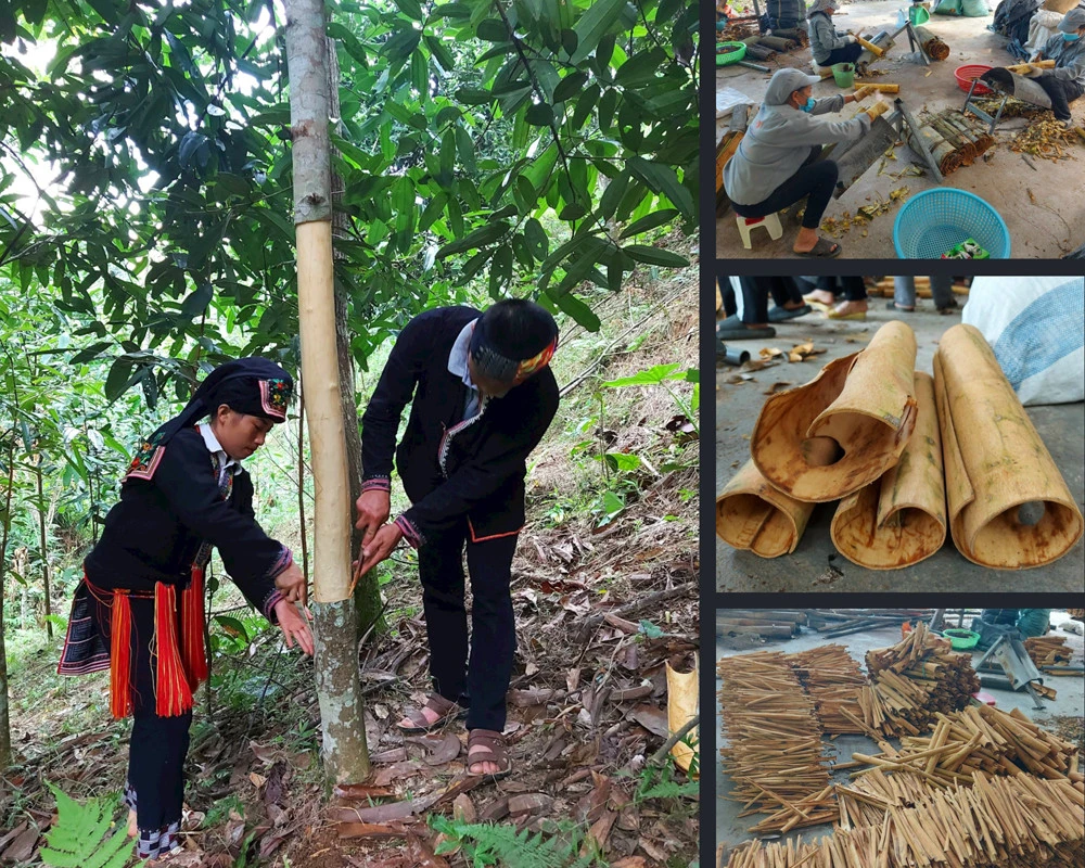 Xu thế tất yếu ảnh 4