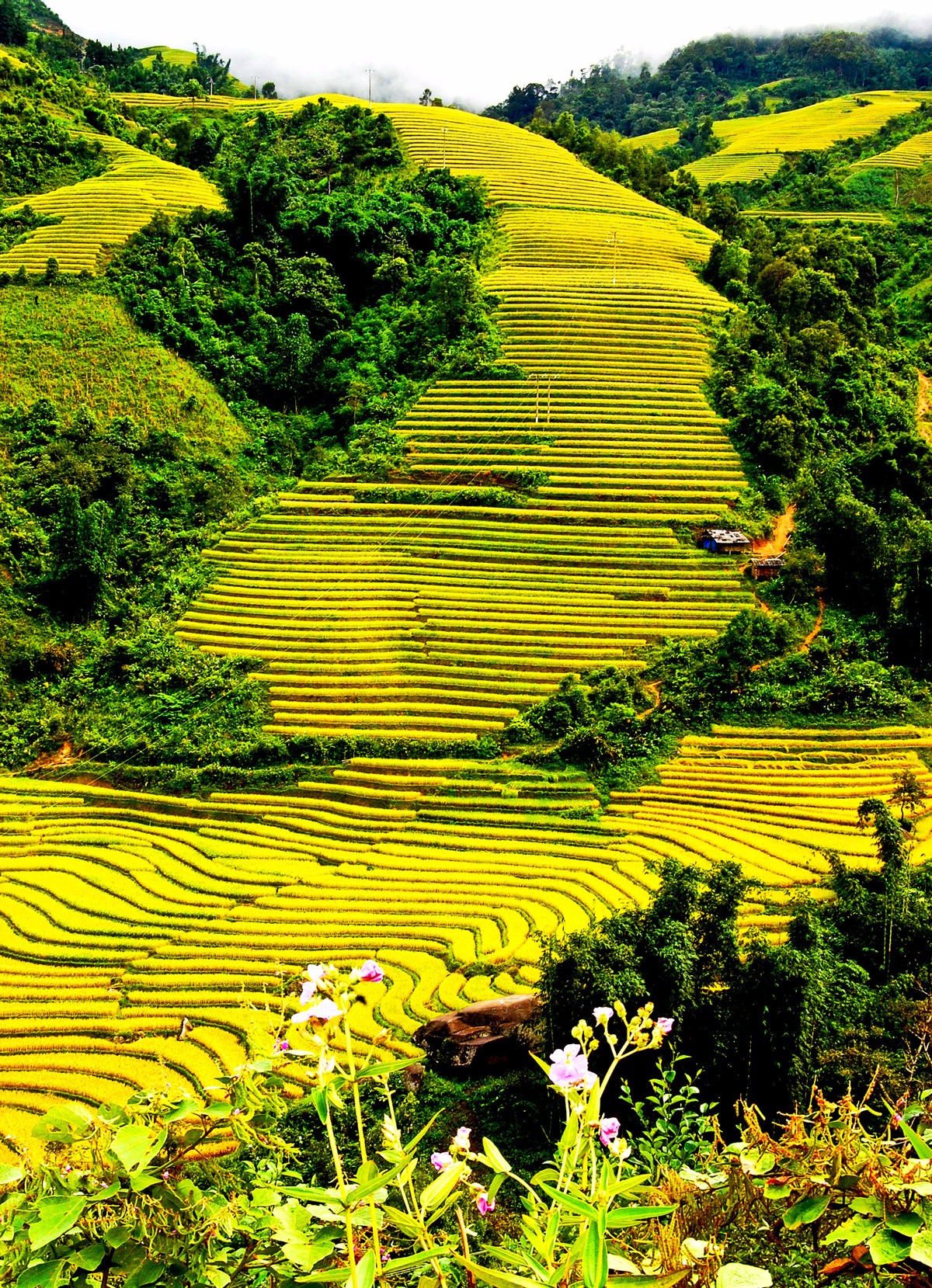 Bay lên “nóc nhà Ðông Dương” ảnh 2 Bay lên “nóc nhà Ðông Dương” ảnh 2