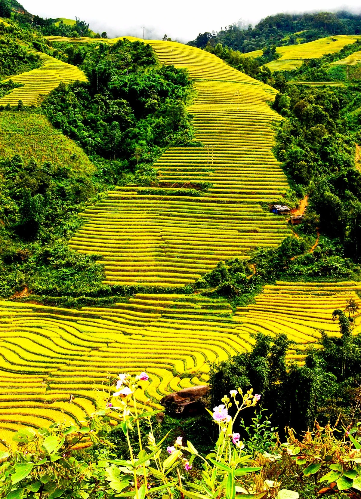 Bay lên “nóc nhà Ðông Dương” ảnh 2