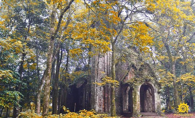 Vườn Quốc gia Ba Vì.