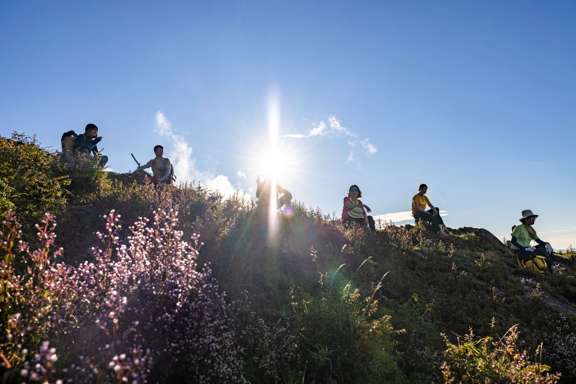 Lên "nóc nhà" Yên Bái, săn mùa hoa tím Tà Chì Nhù đẹp như ở trời Âu ảnh 5 Lên "nóc nhà" Yên Bái, săn mùa hoa tím Tà Chì Nhù đẹp như ở trời Âu ảnh 5