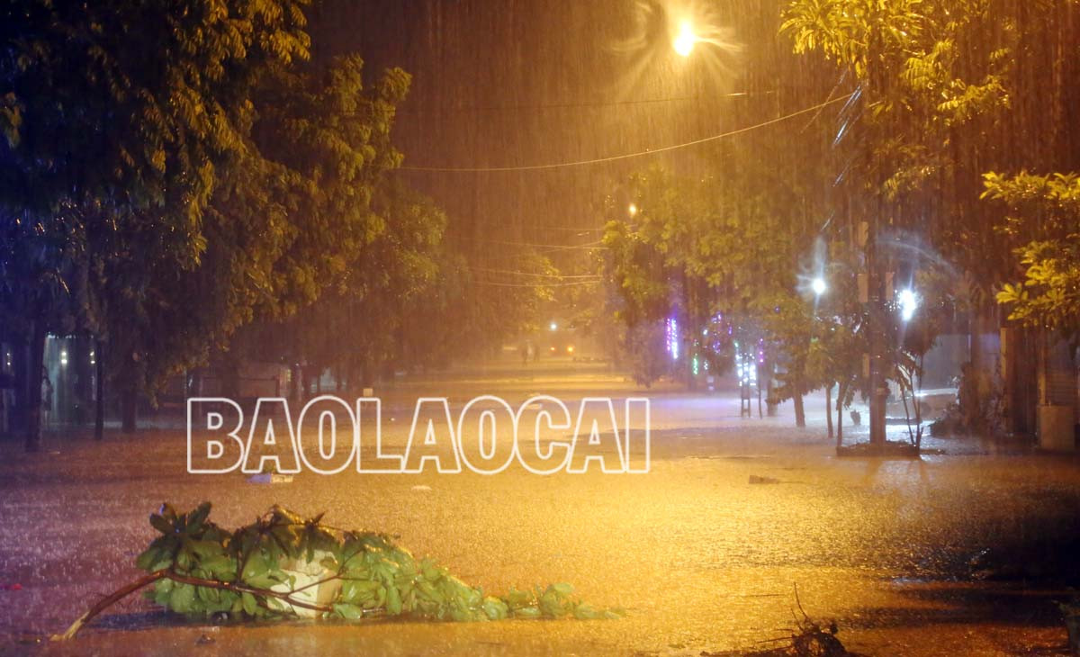 Mưa lớn, nhiều tuyến đường ở thành phố Lào Cai ngập sâu trong nước ảnh 9