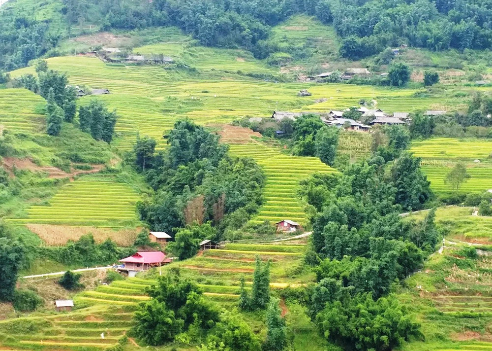 Bản làng Trung Chải bình yên bên triền núi.