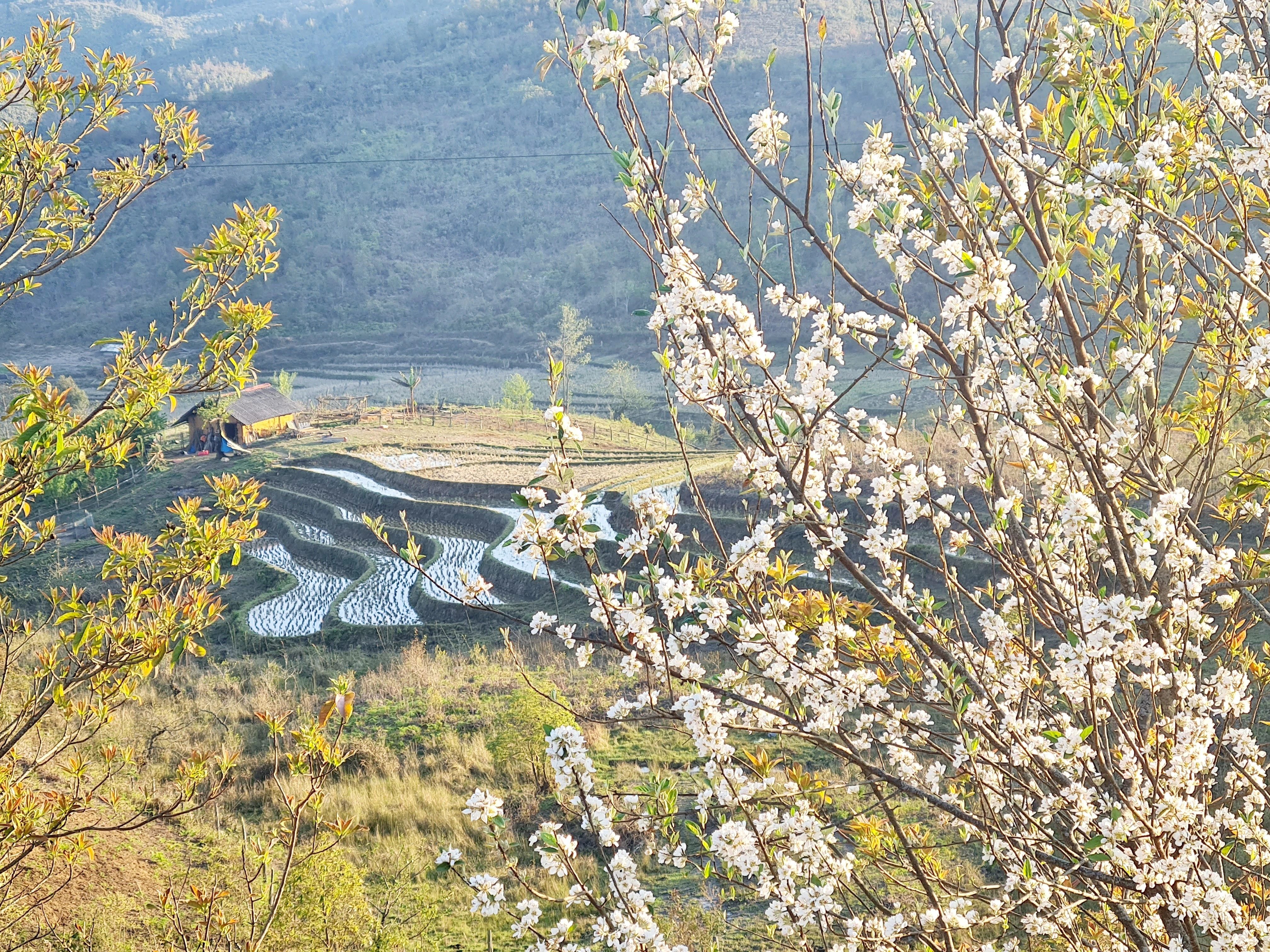 Tô thêm vẻ đẹp bức tranh vùng cao.