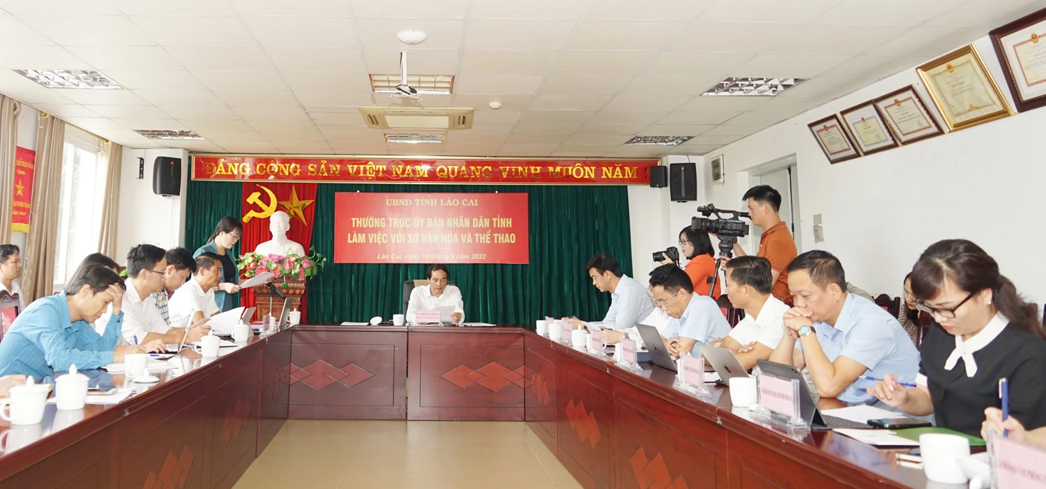 Thường trực UBND tỉnh làm việc với Sở Văn hóa và Thể thao ảnh 1