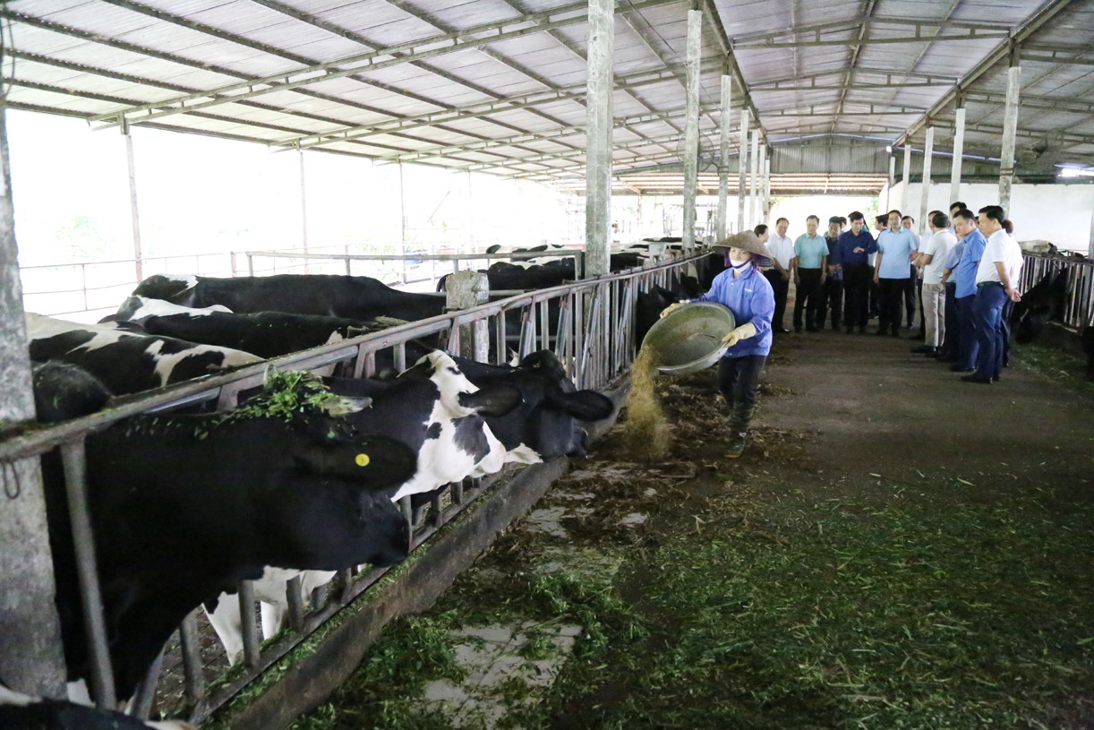 Đoàn công tác tỉnh Lào Cai khảo sát, trao đổi kinh nghiệm sản xuất nông nghiệp, du lịch tại tỉnh Sơn La ảnh 10