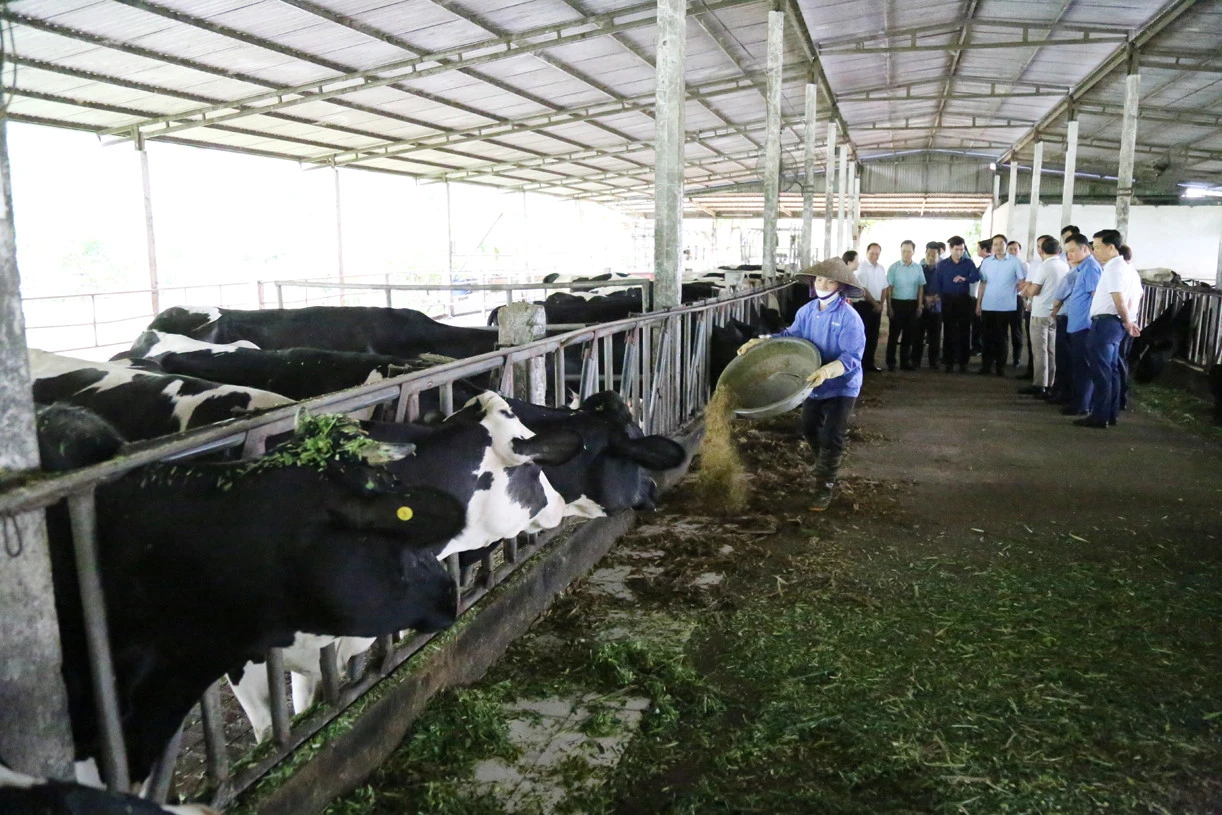 Đoàn công tác tỉnh Lào Cai khảo sát, trao đổi kinh nghiệm sản xuất nông nghiệp, du lịch tại tỉnh Sơn La ảnh 10 Đoàn công tác tỉnh Lào Cai khảo sát, trao đổi kinh nghiệm sản xuất nông nghiệp, du lịch tại tỉnh Sơn La ảnh 10