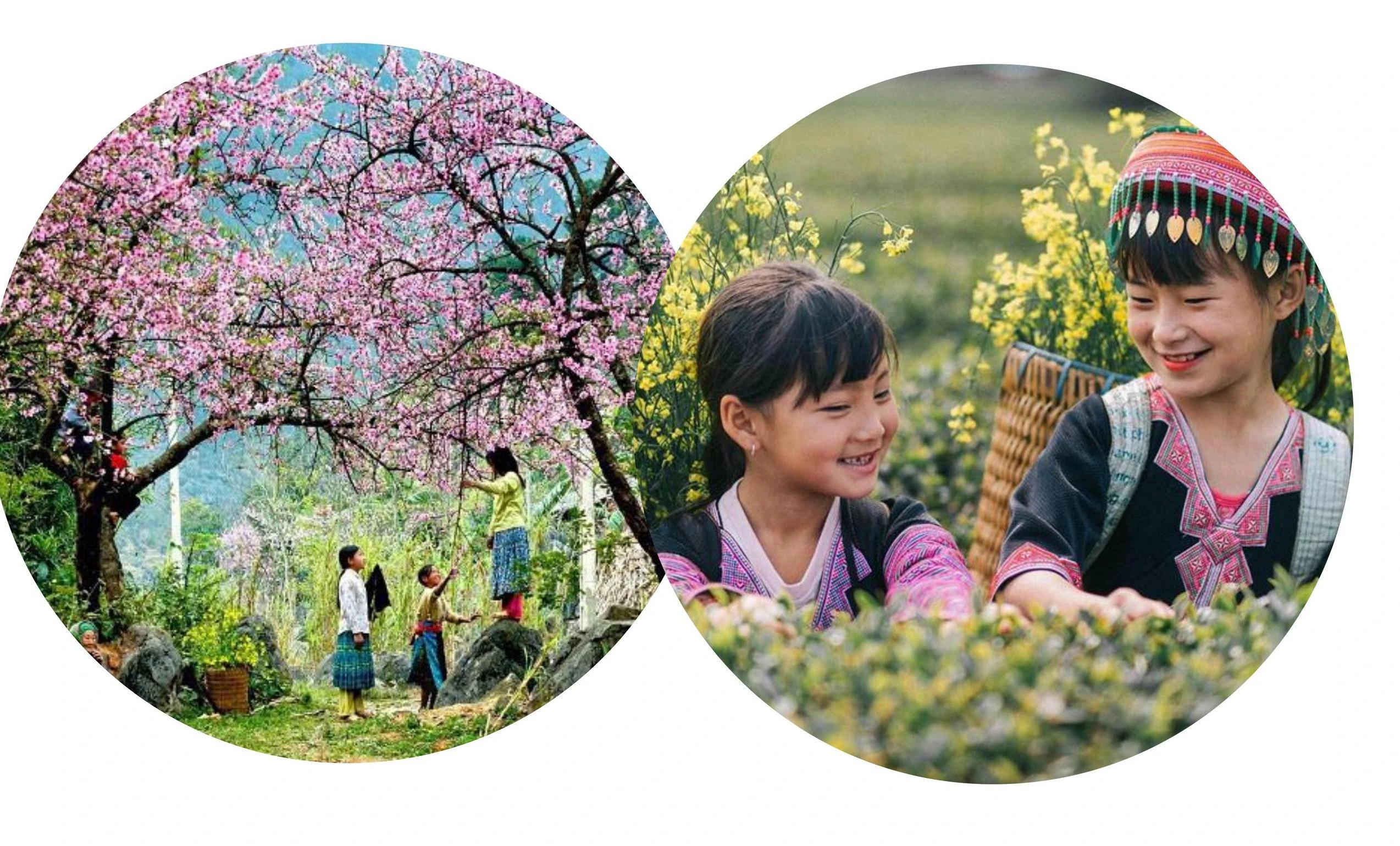 Tây Bắc đẹp đến nao lòng ảnh 9 Tây Bắc đẹp đến nao lòng ảnh 9