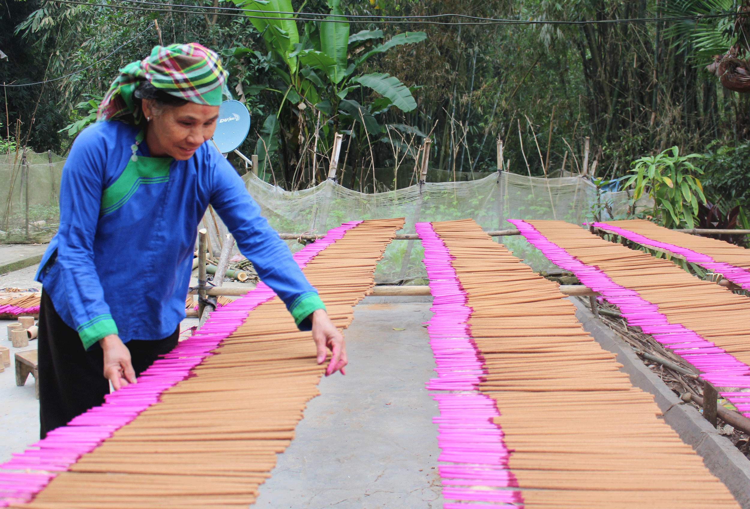 Nguyên liệu làm hương truyền thống của người Giáy được lấy từ tự nhiên.