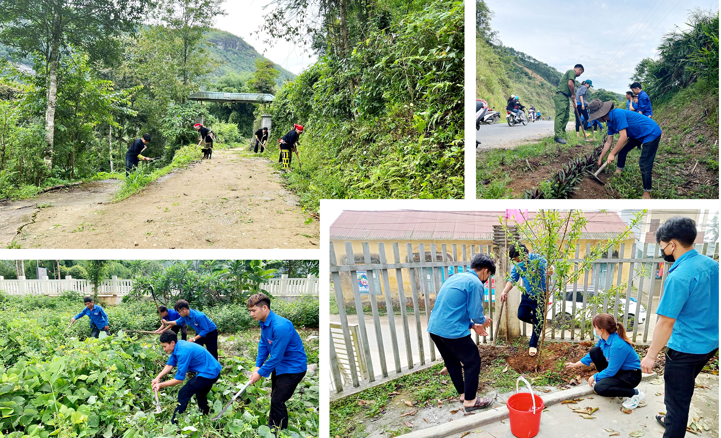 Những Chủ nhật xanh ảnh 9 Những Chủ nhật xanh ảnh 9