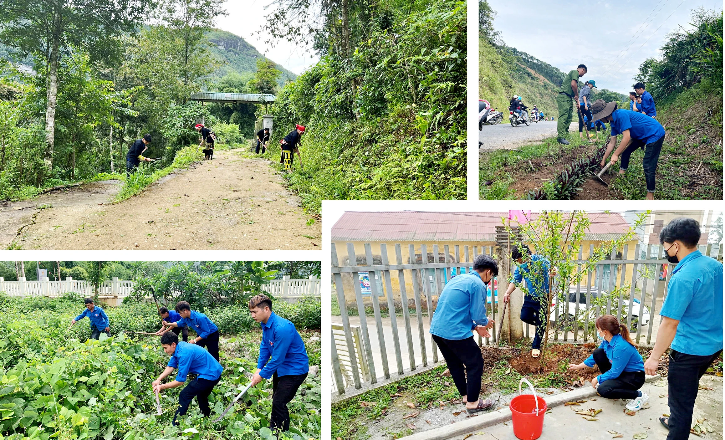 Những Chủ nhật xanh ảnh 9