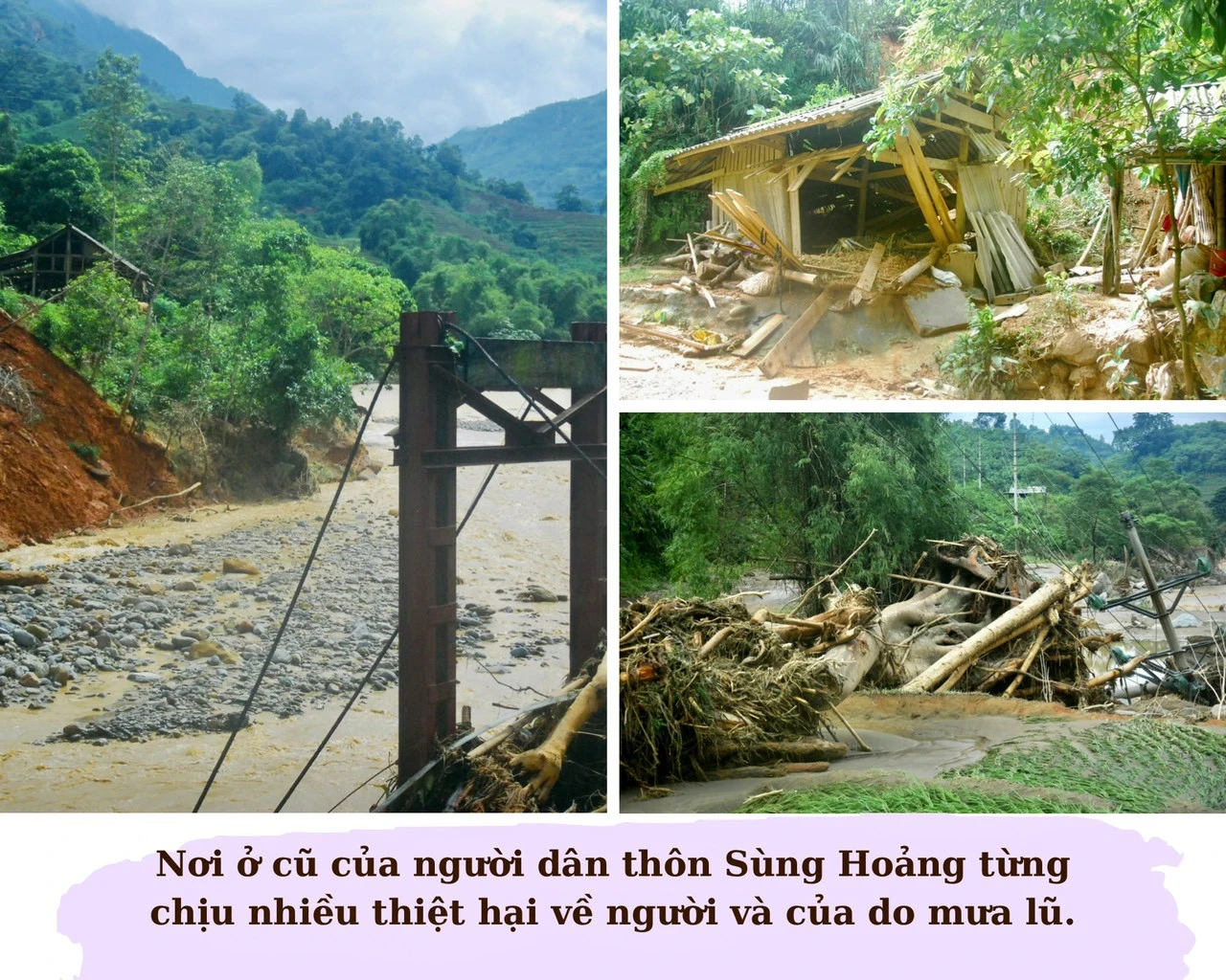 “Cây đại thụ” trên đỉnh Kềm Chùn Bông ảnh 1 “Cây đại thụ” trên đỉnh Kềm Chùn Bông ảnh 1