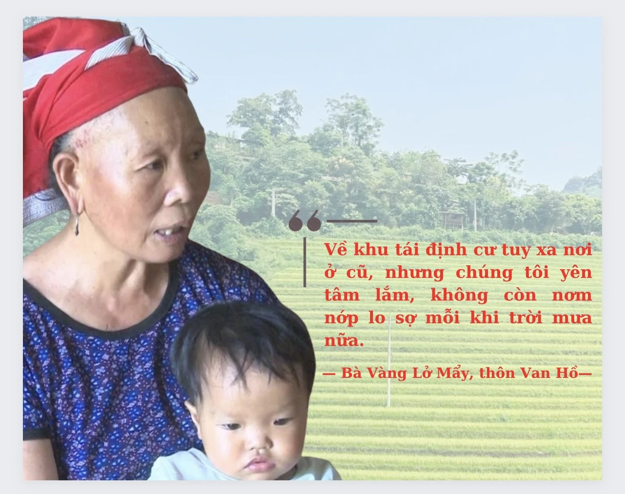 “Cây đại thụ” trên đỉnh Kềm Chùn Bông ảnh 3 “Cây đại thụ” trên đỉnh Kềm Chùn Bông ảnh 3