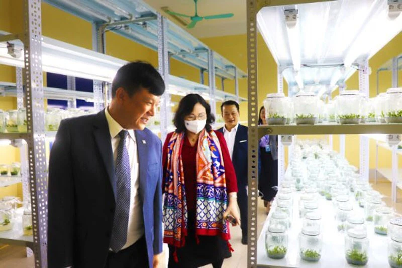 Phân hiệu Đại hiệu Thái Nguyên tại tỉnh Lào Cai phấn đấu dẫn đầu khu vực và đạt chuẩn quốc tế ảnh 3