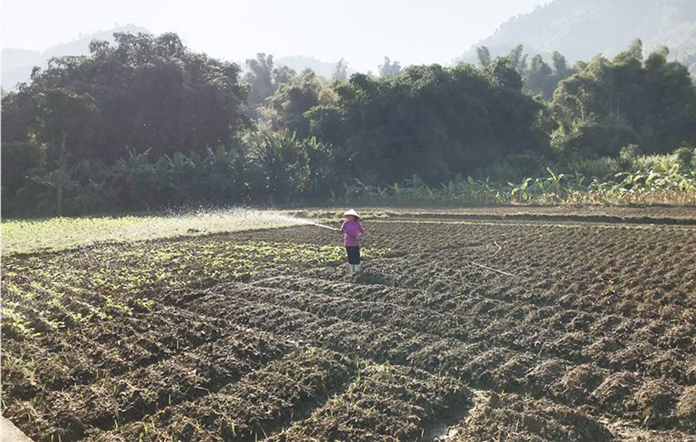 Bên dòng Nậm Chăn ảnh 2 Bên dòng Nậm Chăn ảnh 2