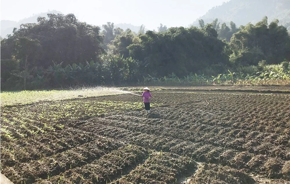 Bên dòng Nậm Chăn ảnh 2