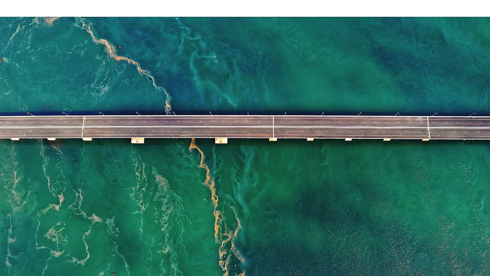 Một ngày làm ngư dân ở biển xanh Móng Cái: Săn hải sản ăn liền, đạp xe giữa hàng dương ảnh 1