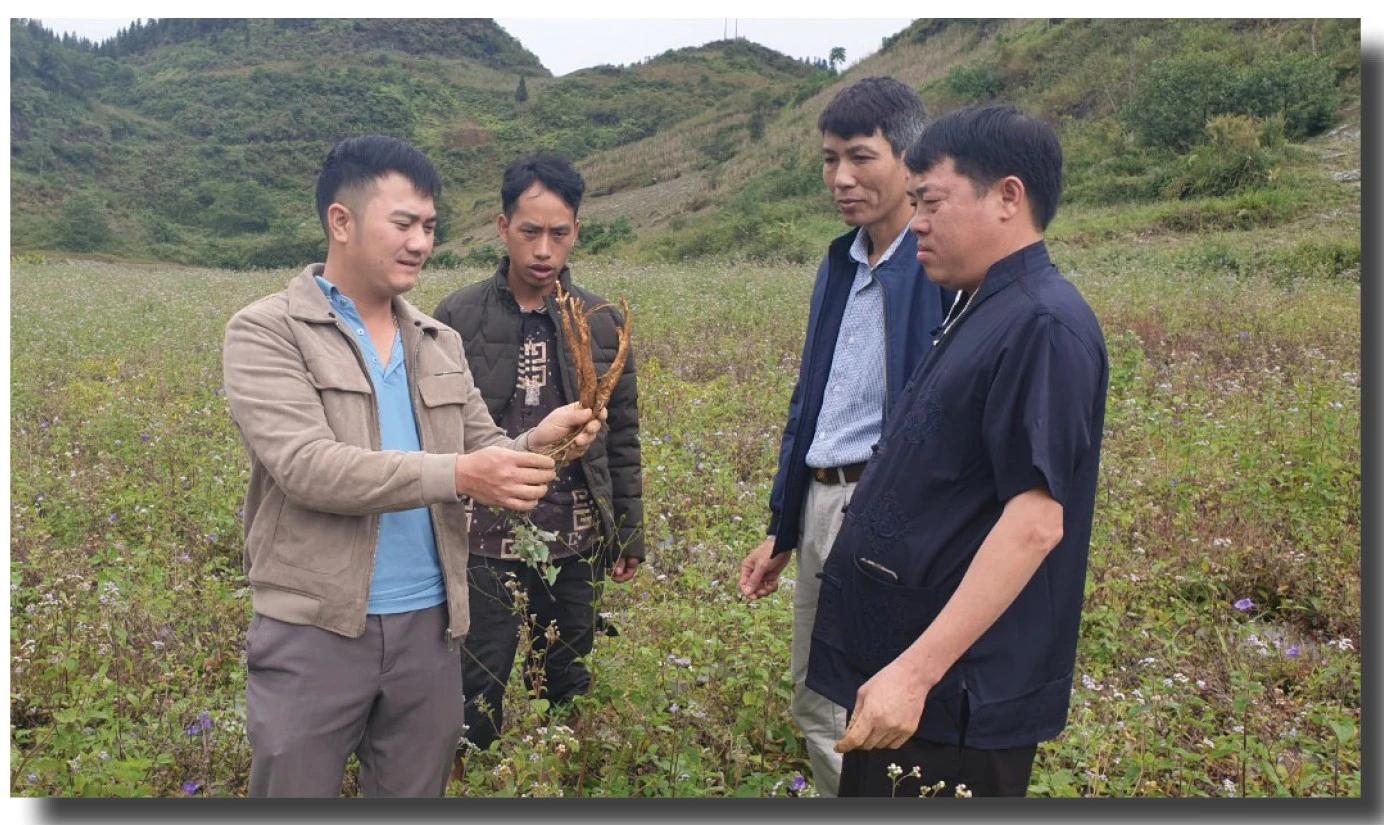 Chuyển từ “trồng dược liệu” sang “kinh tế dược liệu” ảnh 5