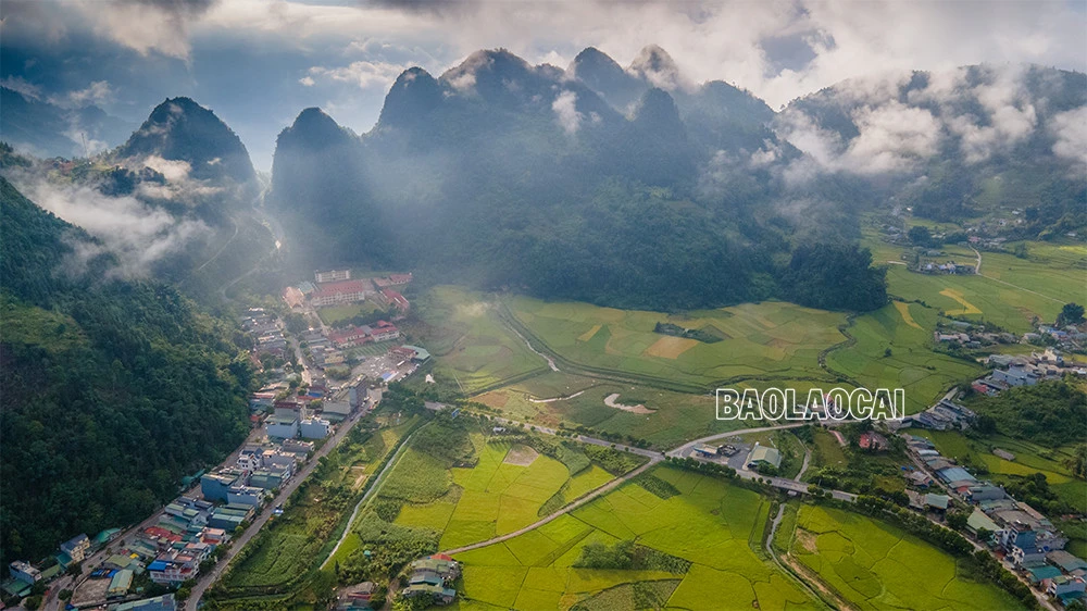 Mùa lúa chín&nbsp;Mường Khương -&nbsp;dải lụa vàng giữa đại ngàn biên ải ảnh 7