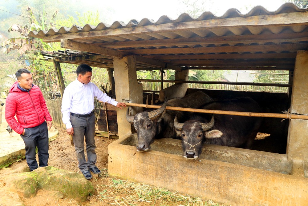 Si Ma Cai và hành trình xóa thôn, bản “trắng” đảng viên ảnh 2