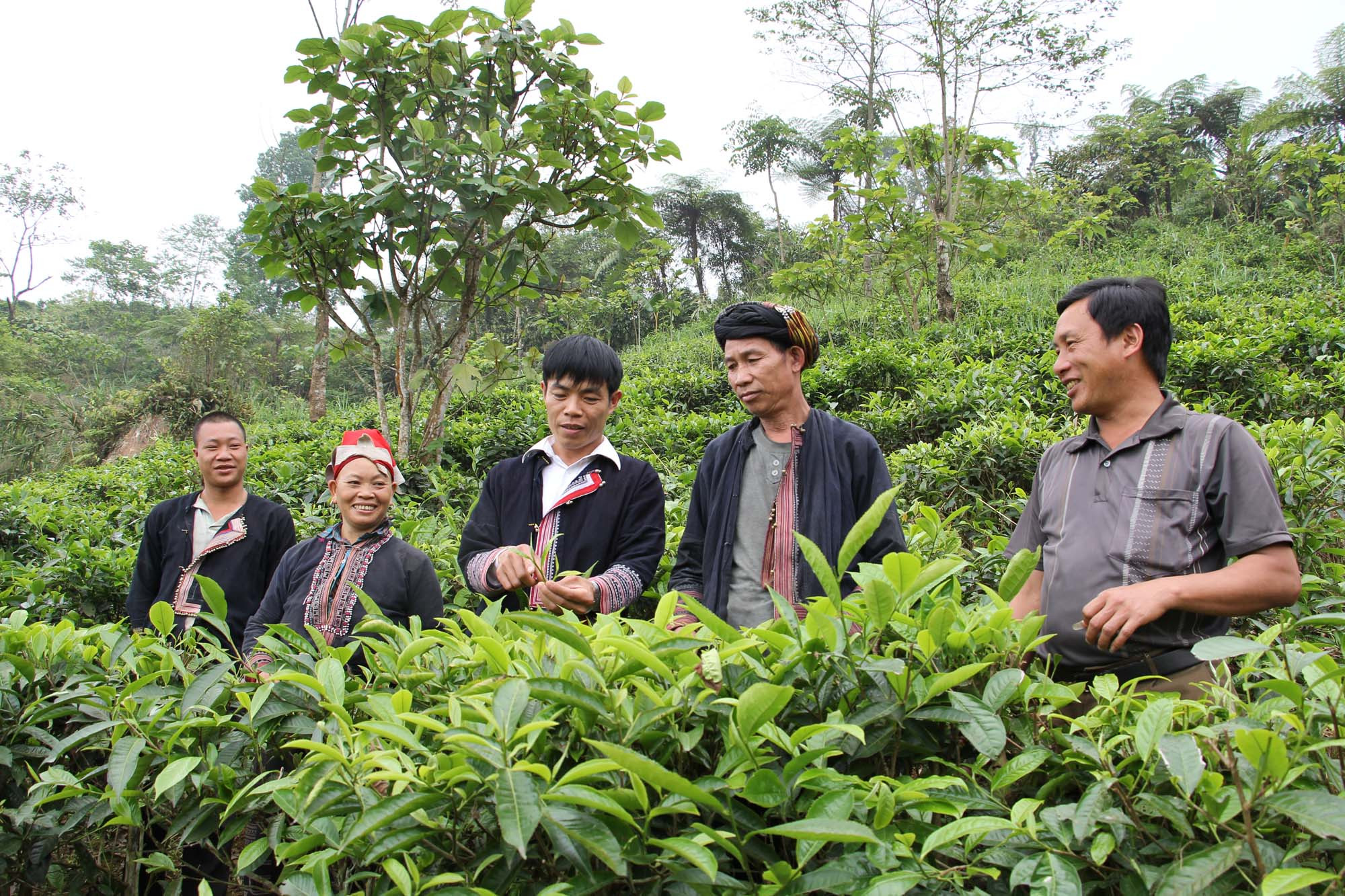 Thành phố Lào Cai: Coi trọng nêu gương trong học và làm theo Bác ảnh 1