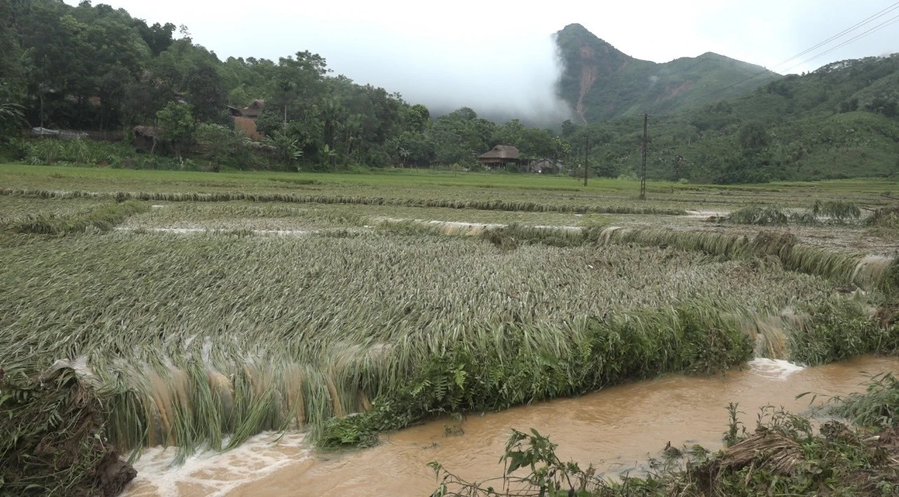 Huyện Bảo Yên: Mưa lũ gây thiệt hại gần 6 tỷ đồng ảnh 3