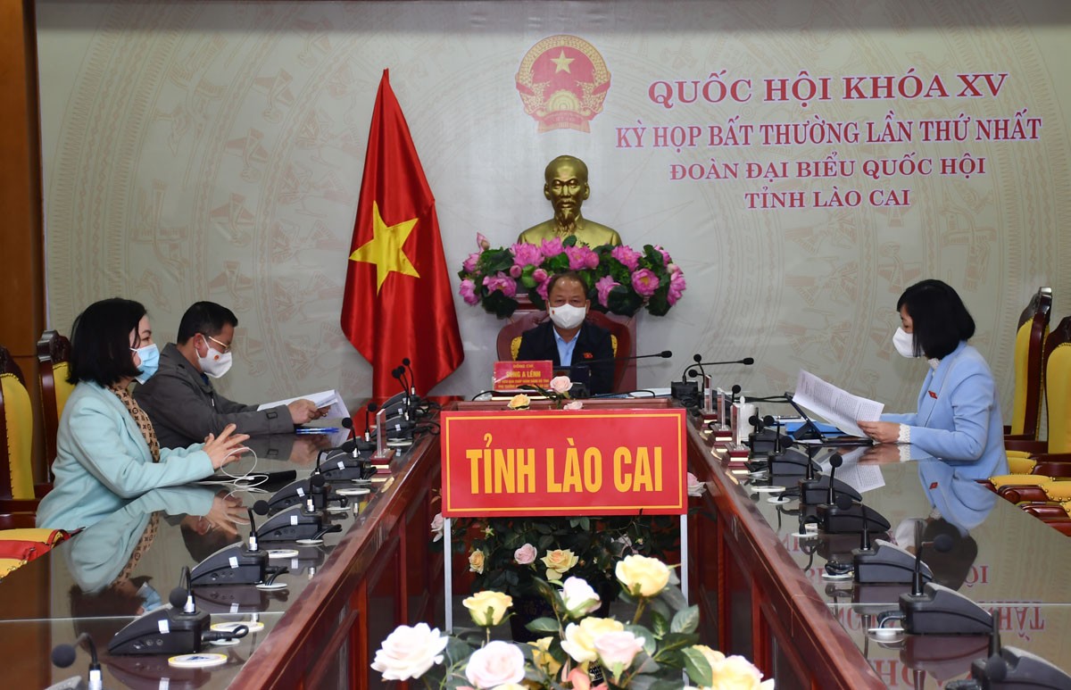 Cán bộ Công ty TNHH Một thành viên Lâm nghiệp Bảo Yên kiểm tra cây giống.