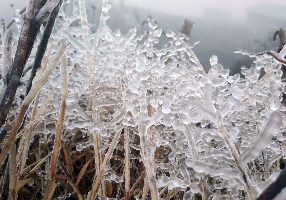 Từ sáng sớm 20/2, băng giá đã phủ kín đỉnh Lảo Thẩn.