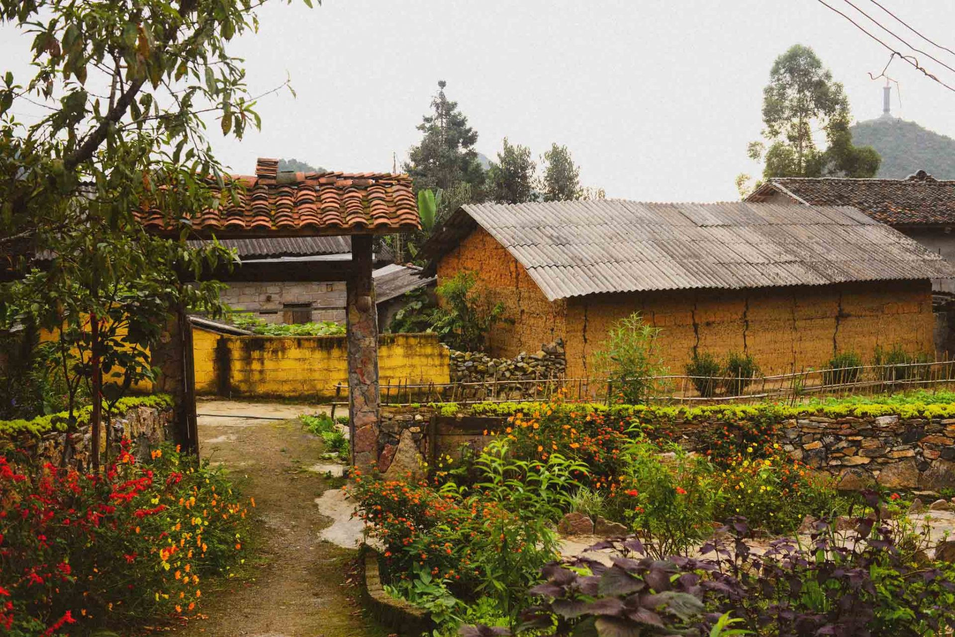 Thu về trên bản Lô Lô Chải ảnh 11 Thu về trên bản Lô Lô Chải ảnh 11